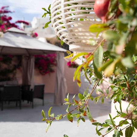 Santorini Oasis- Cave House Villa Fira  Luaran gambar