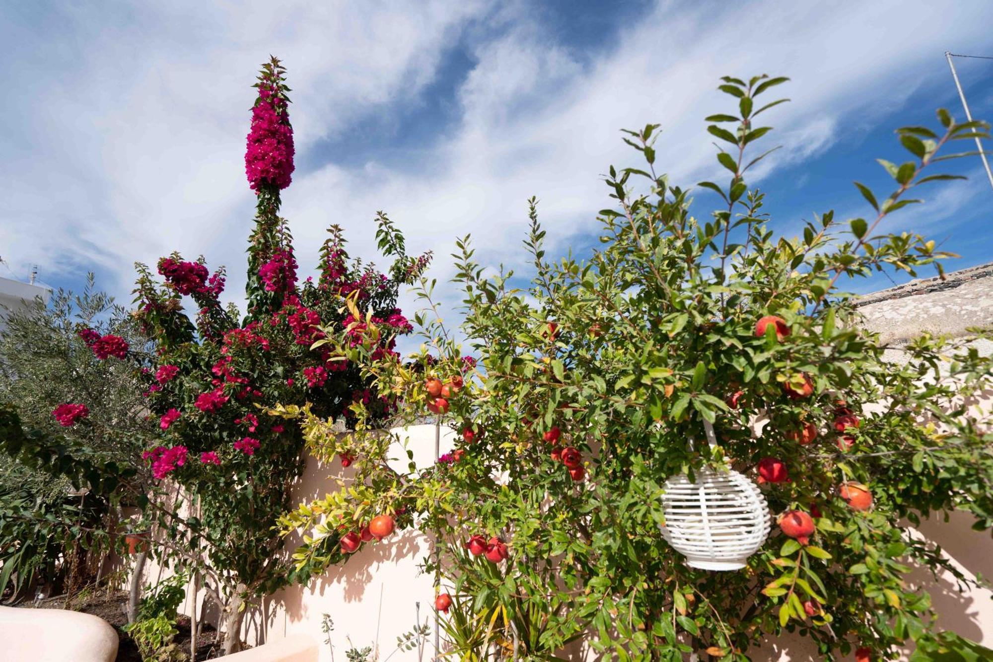 Santorini Oasis- Cave House Villa Fira  Luaran gambar